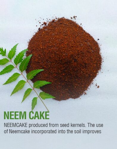 Neem Cake