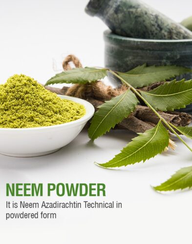 Neem Powder